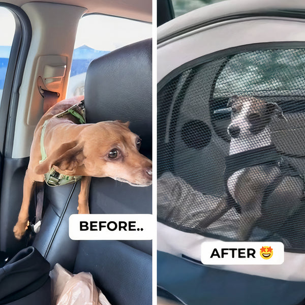 Cozy Pop-Up Dog Retreat